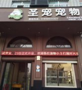 有创意的宠物店名字